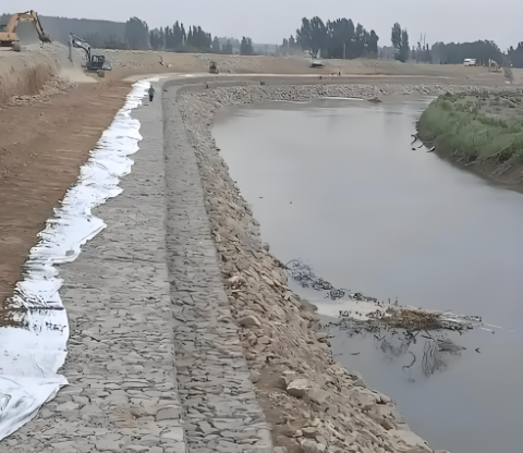 آخرین وبلاگ های شرکت در مورد Gabion Mesh Machinery Empowering Green Infrastructure and Eco-Restoration Projects